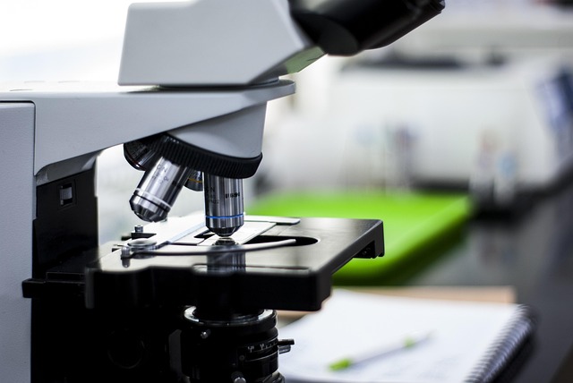 聚氨酯胺類催化劑，確保聚氨酯泡沫具有均勻細(xì)密的泡孔和結(jié)構(gòu)穩(wěn)定性