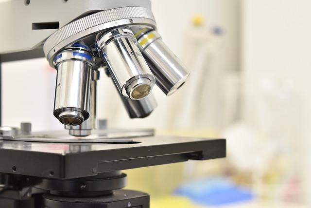 n,n-二甲基芐胺bdma在聚氨酯涂料中的應(yīng)用，促進(jìn)快速固化和性能提升。