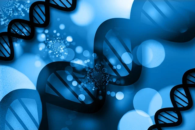 bcat系列有機(jī)鉍催化劑在聚氨酯軟泡生產(chǎn)中的應(yīng)用，旨在優(yōu)化發(fā)泡和凝膠反應(yīng)平衡。